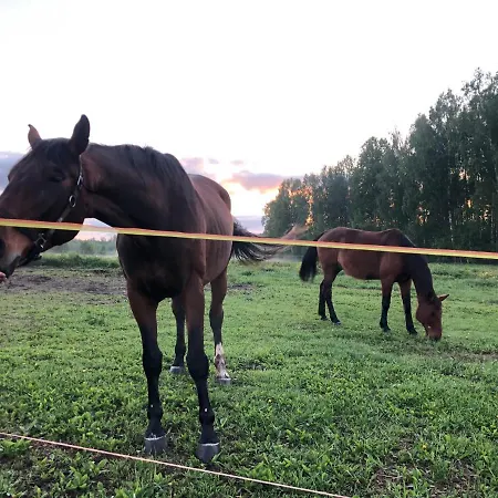 Kitsemaja Glamping * Vonnu